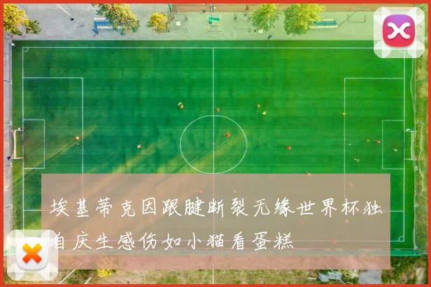 埃基蒂克因跟腱断裂无缘世界杯独自庆生感伤如小猫看蛋糕